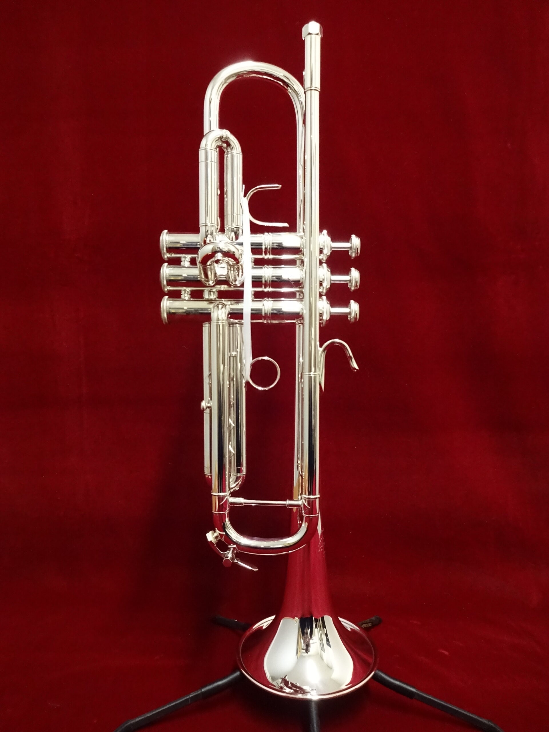 写真：V.Bach　170ML43SP