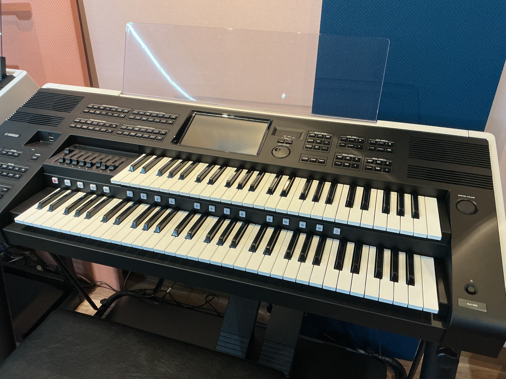 写真：YAMAHA 　ELS-03G