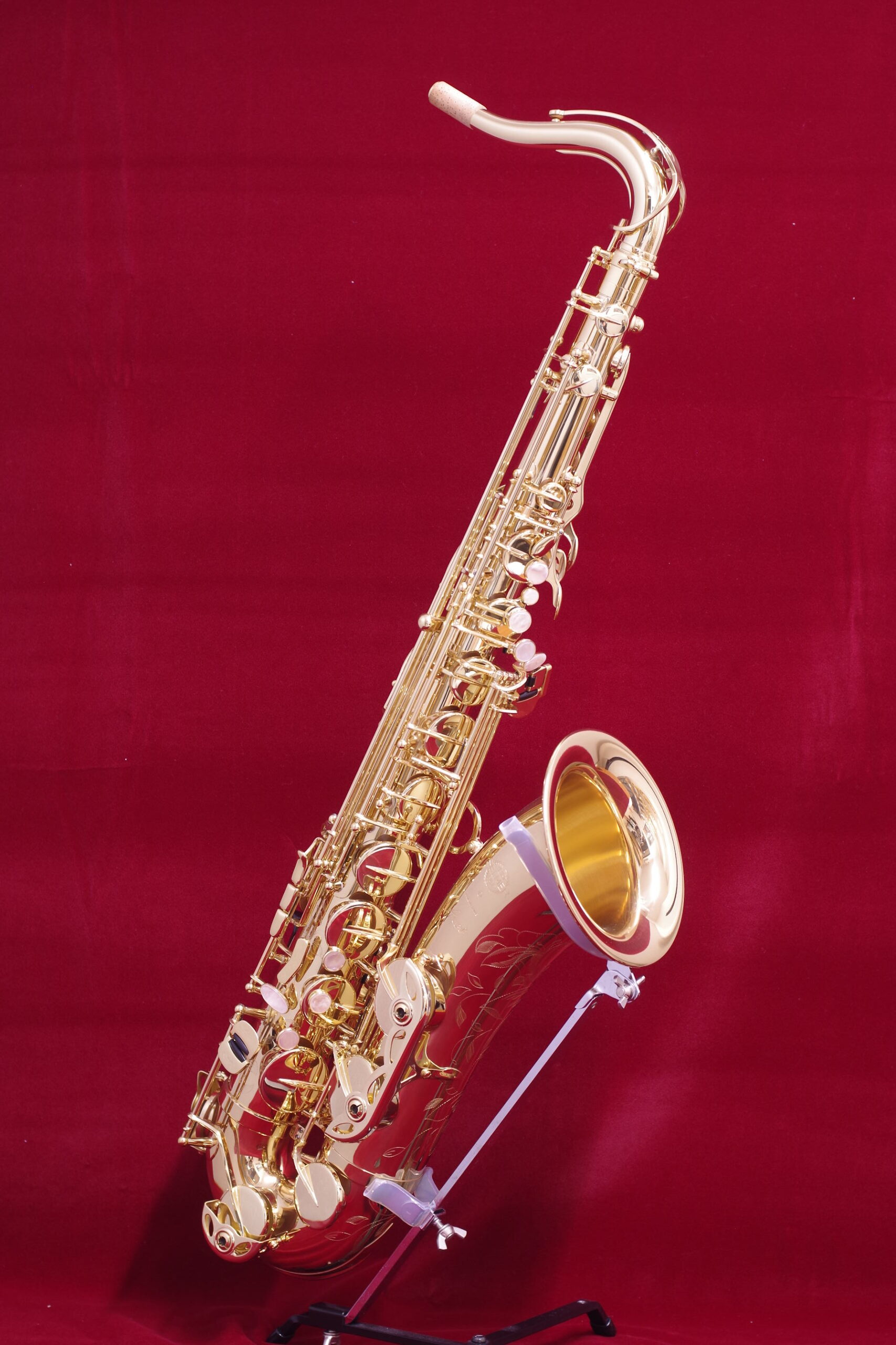 写真：SELMER AXOS GL