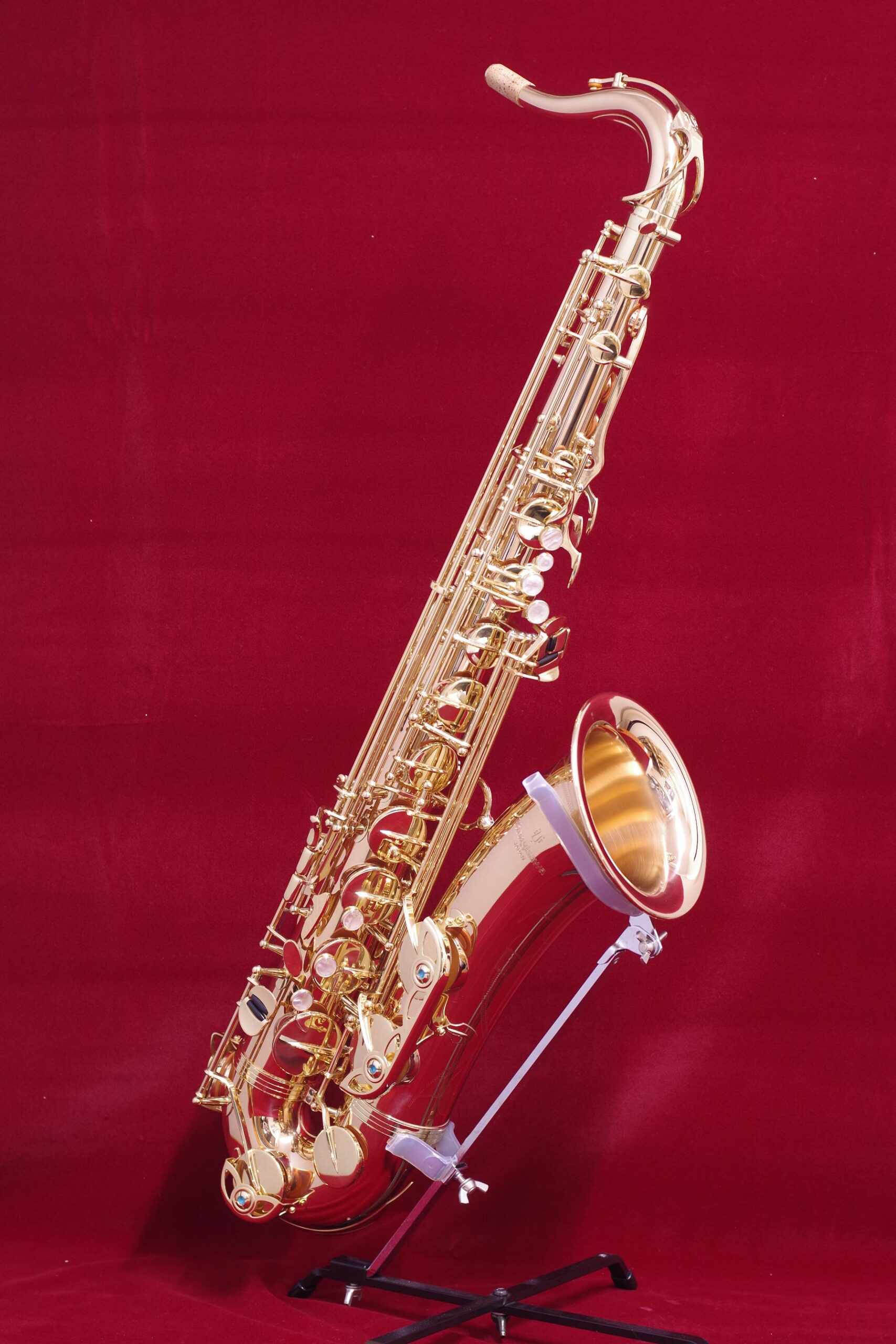 写真：YANAGISAWA　T-WO2