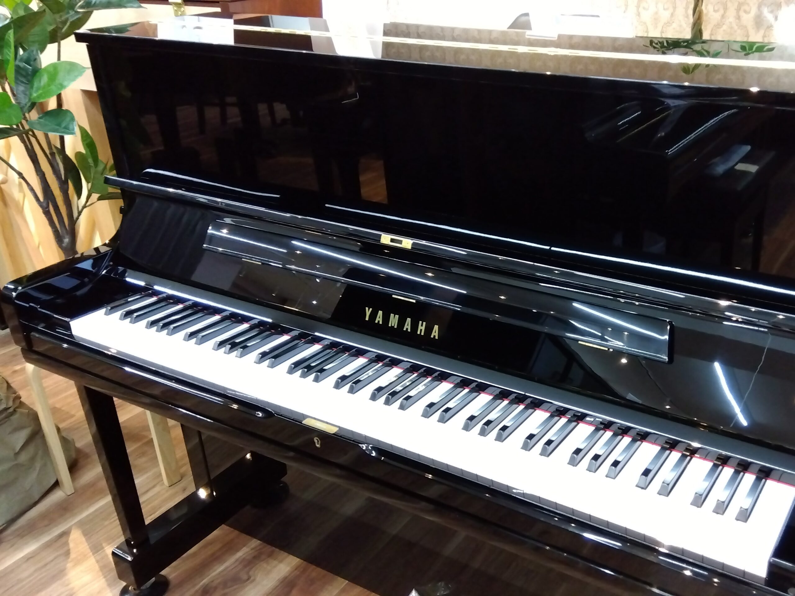 写真：YAMAHA YUS1ENST