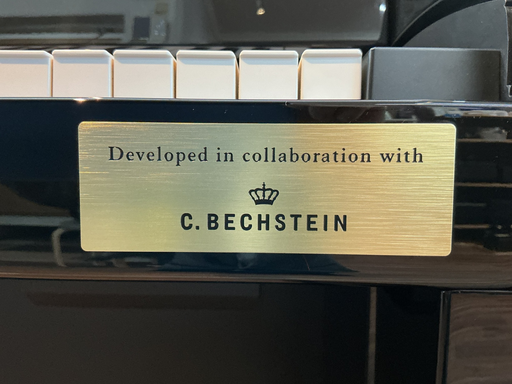 写真：CASIO　GP-510