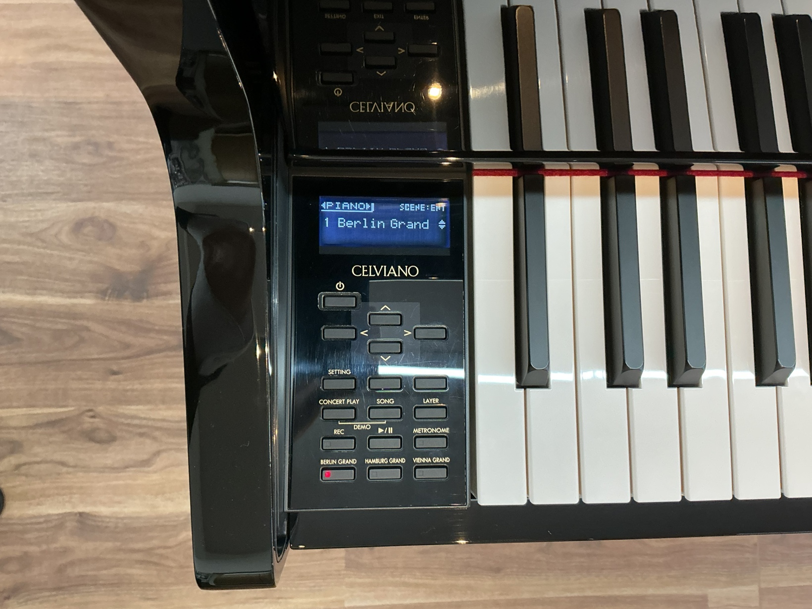 写真：CASIO　GP-510