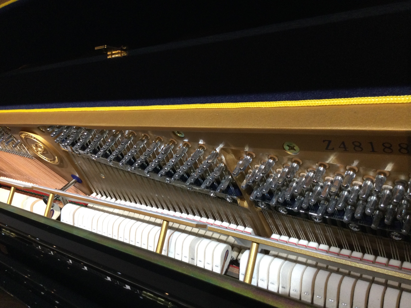 写真：Zimmermann Studio S2