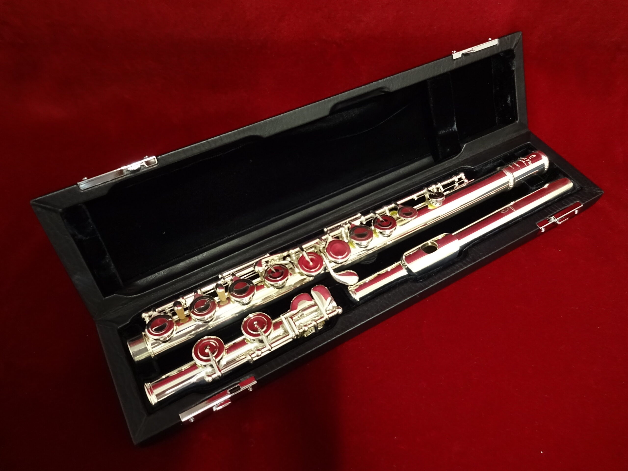 写真：PEARL　F-DP/E