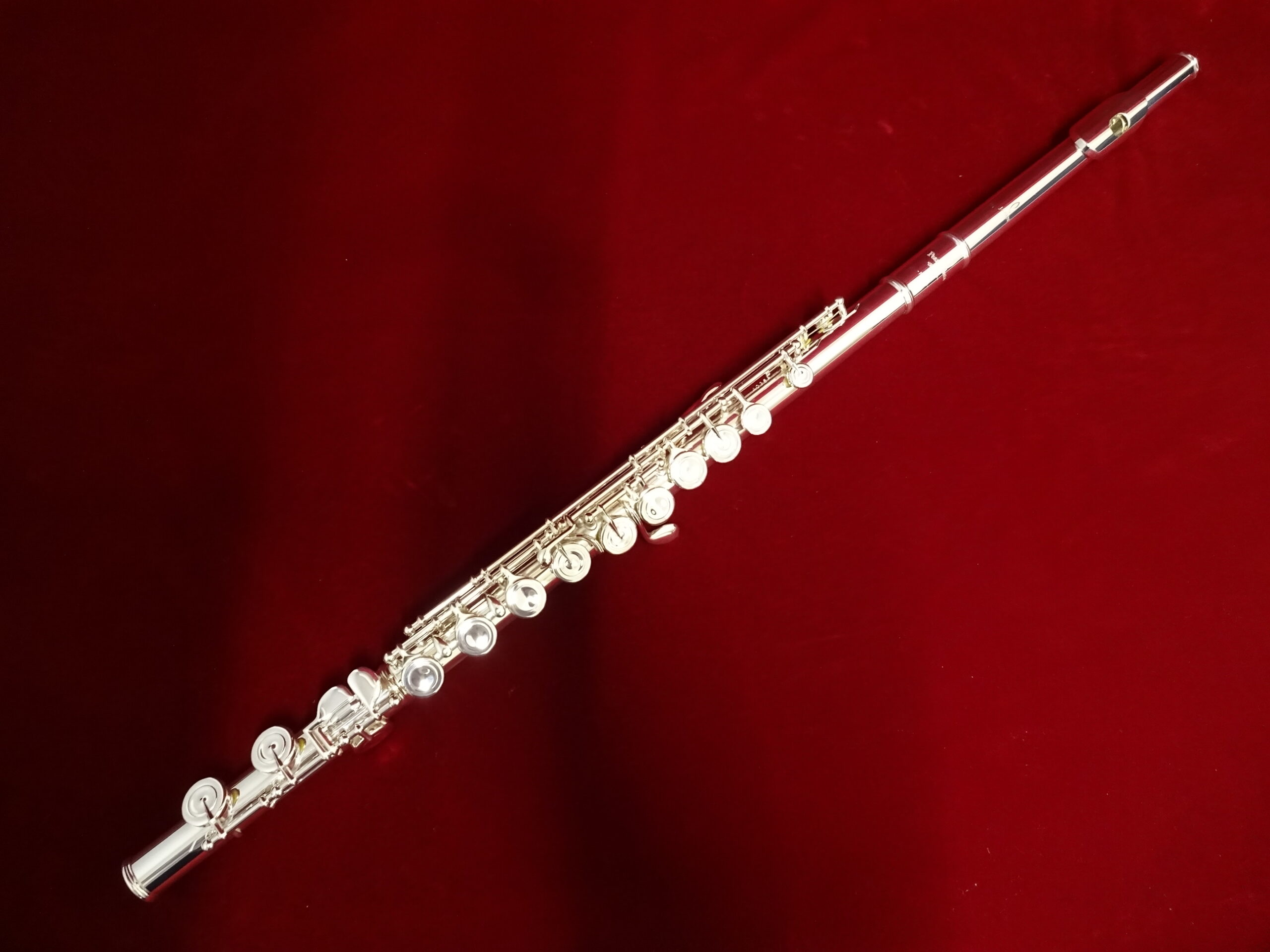 写真：PEARL　F-DP/E