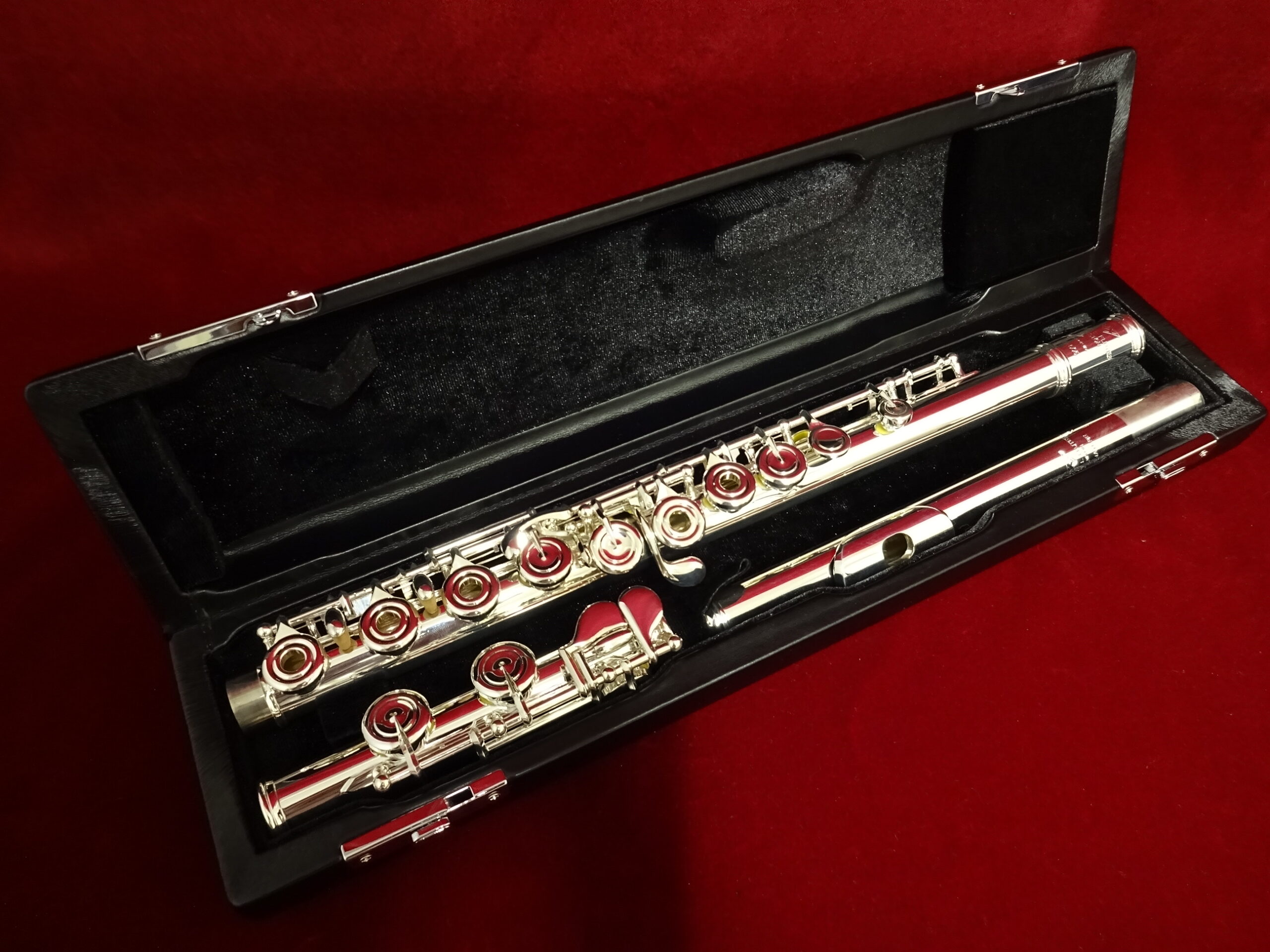 写真：PEARL　PS-505 R/CE