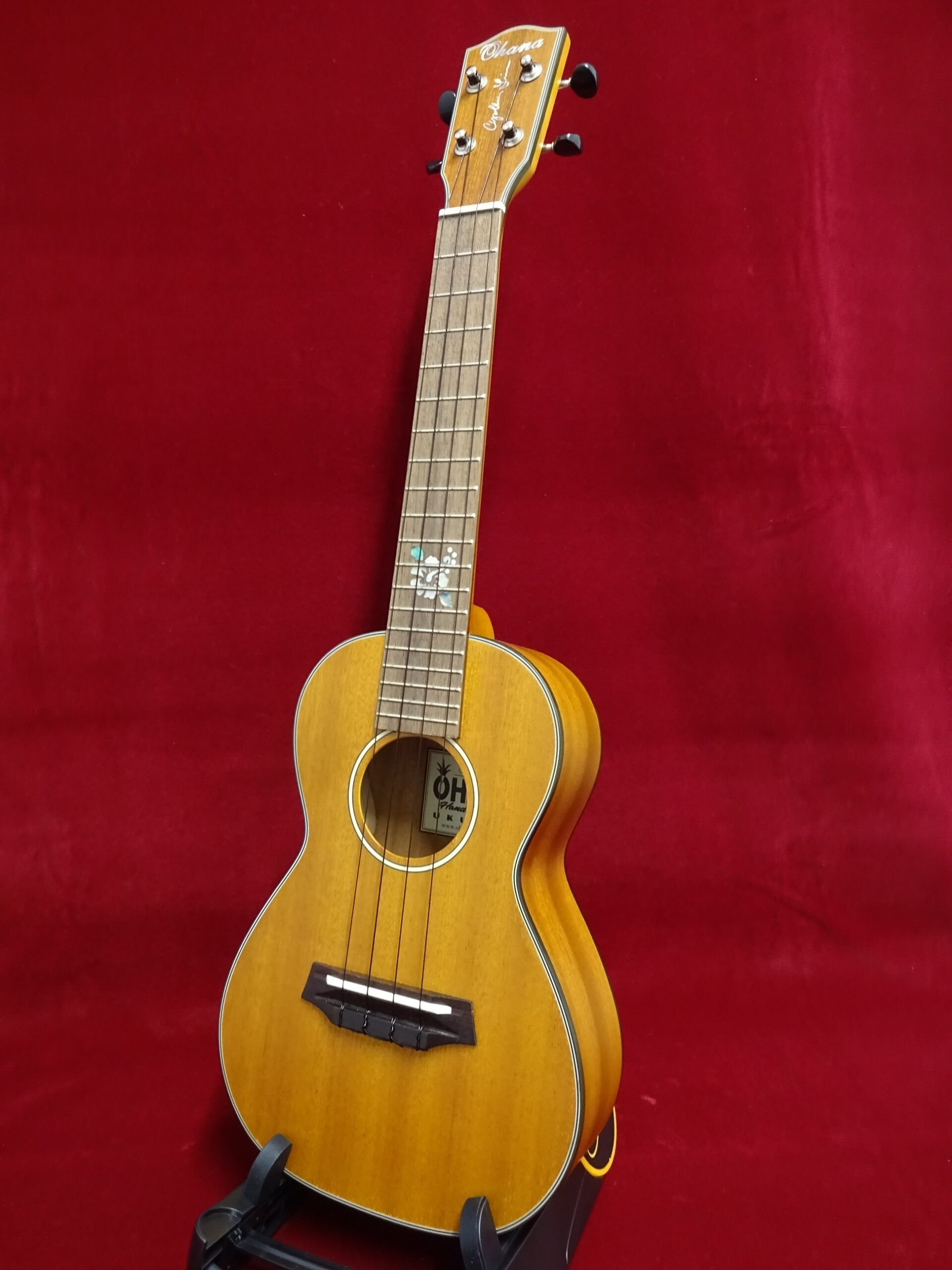 写真：Ohana　CK-14CLE