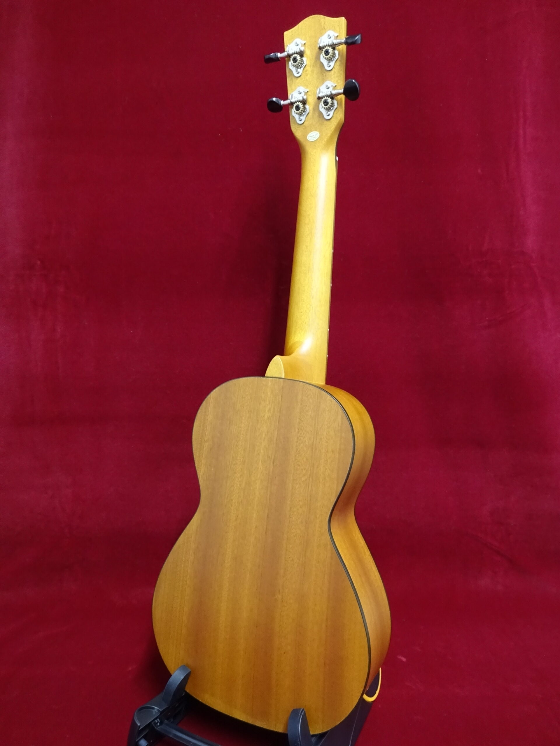 写真：Ohana　CK-14CLE