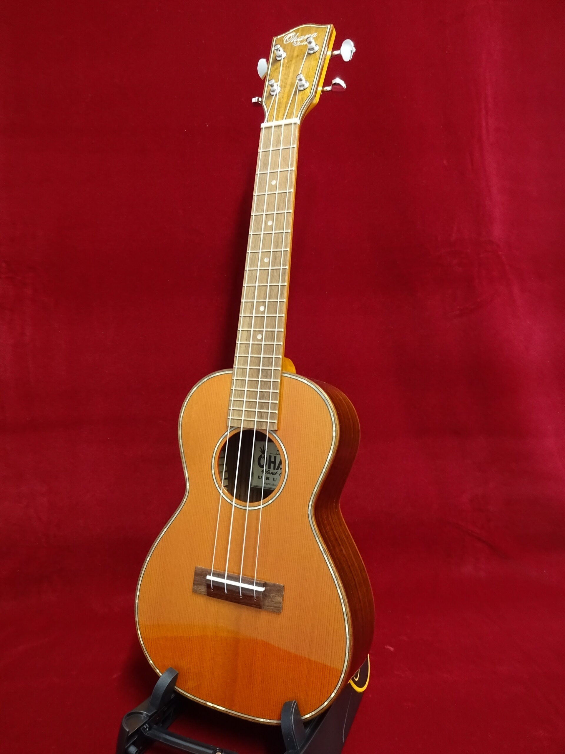 写真：Ohana　CK-50G