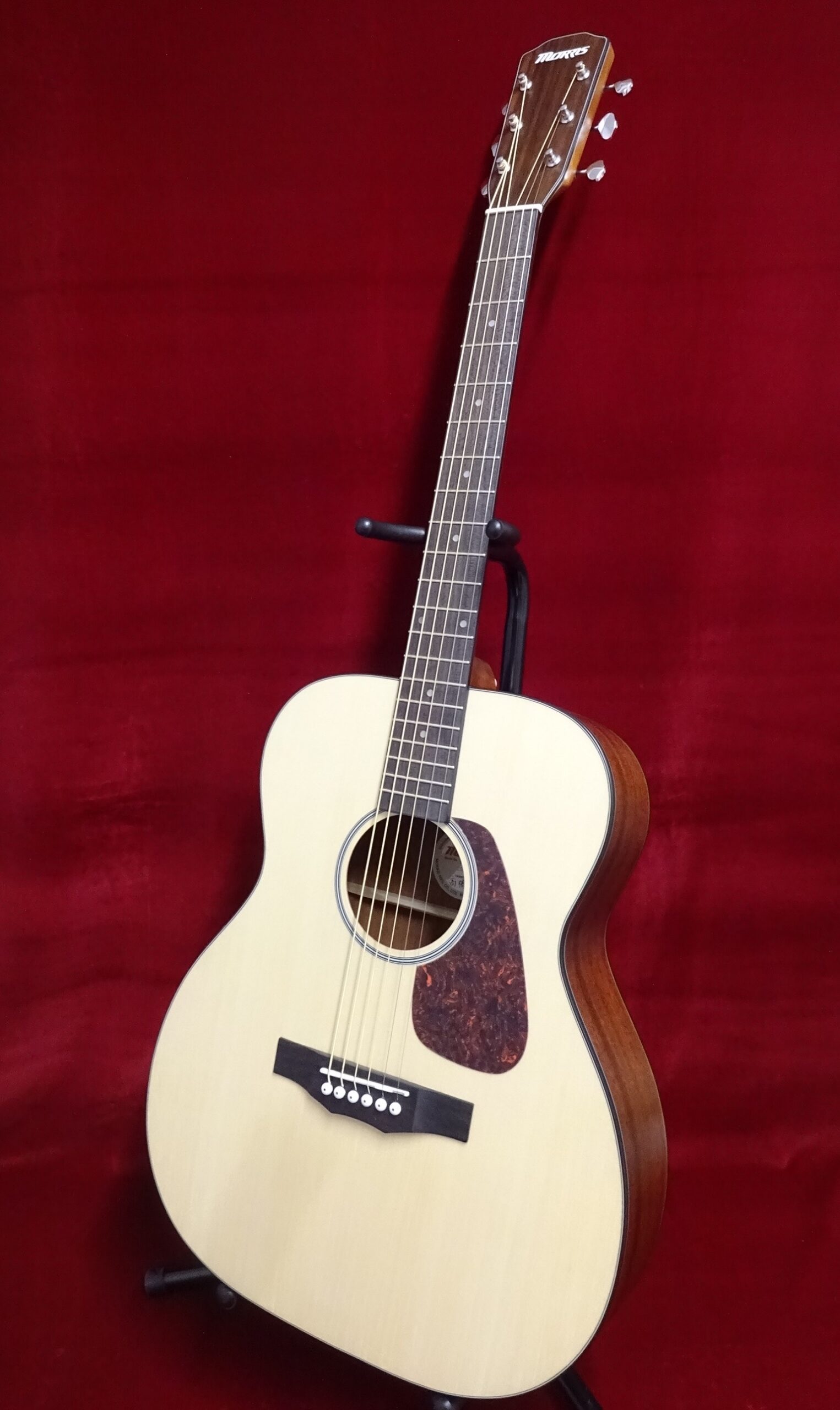 写真：Morris　F-1