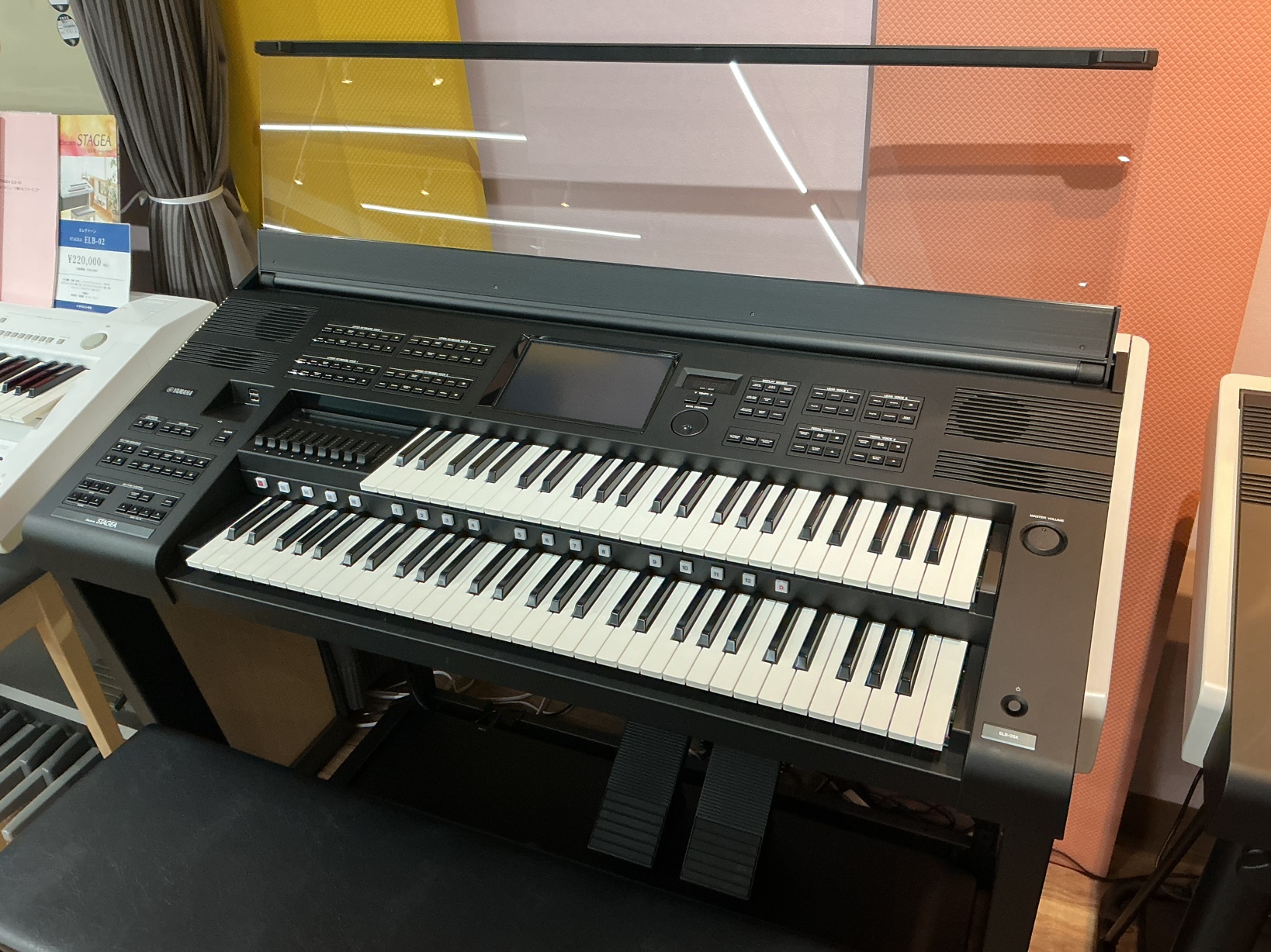 写真：YAMAHA 　ELS-03XR