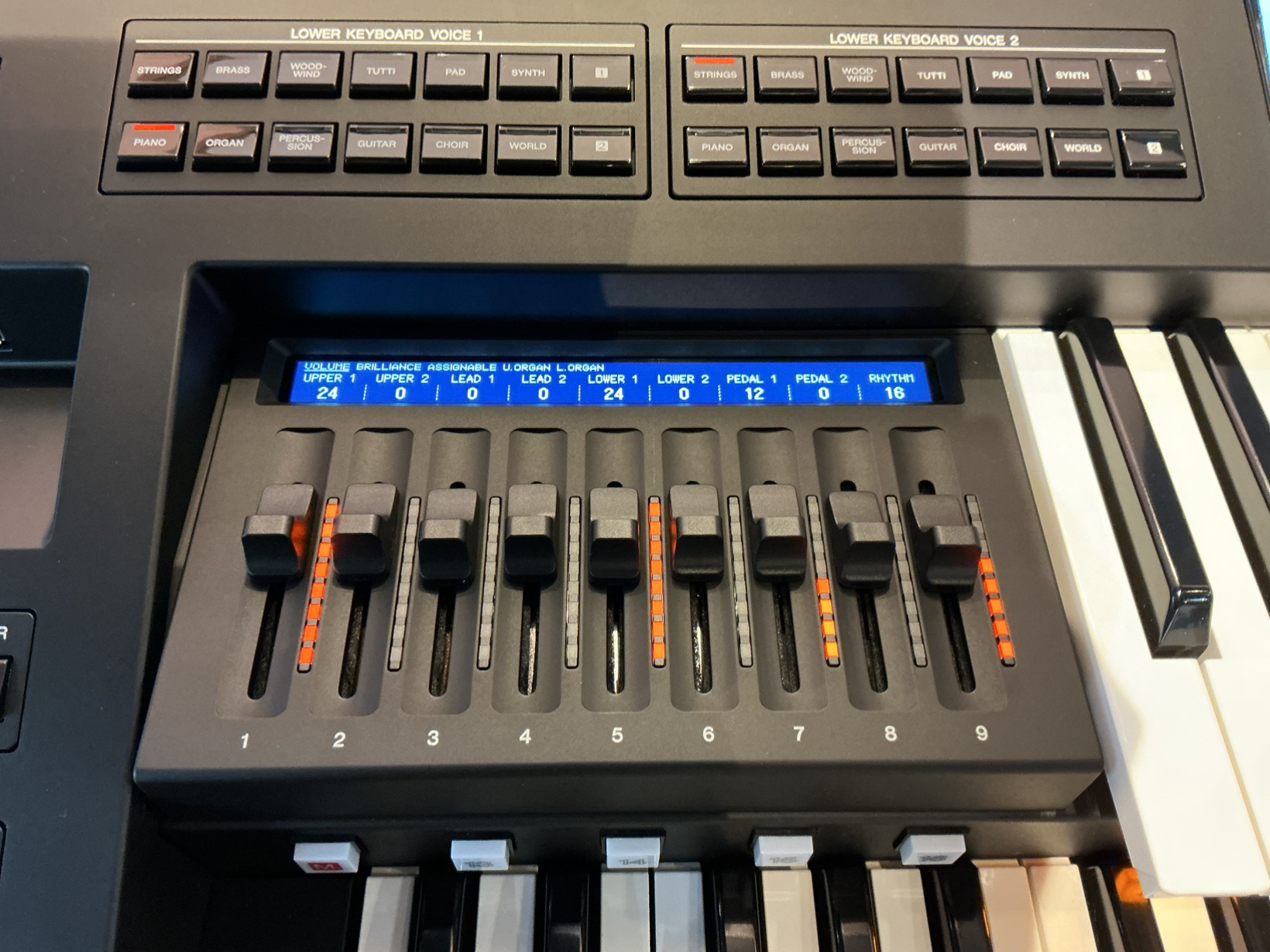 写真：YAMAHA 　ELS-03G