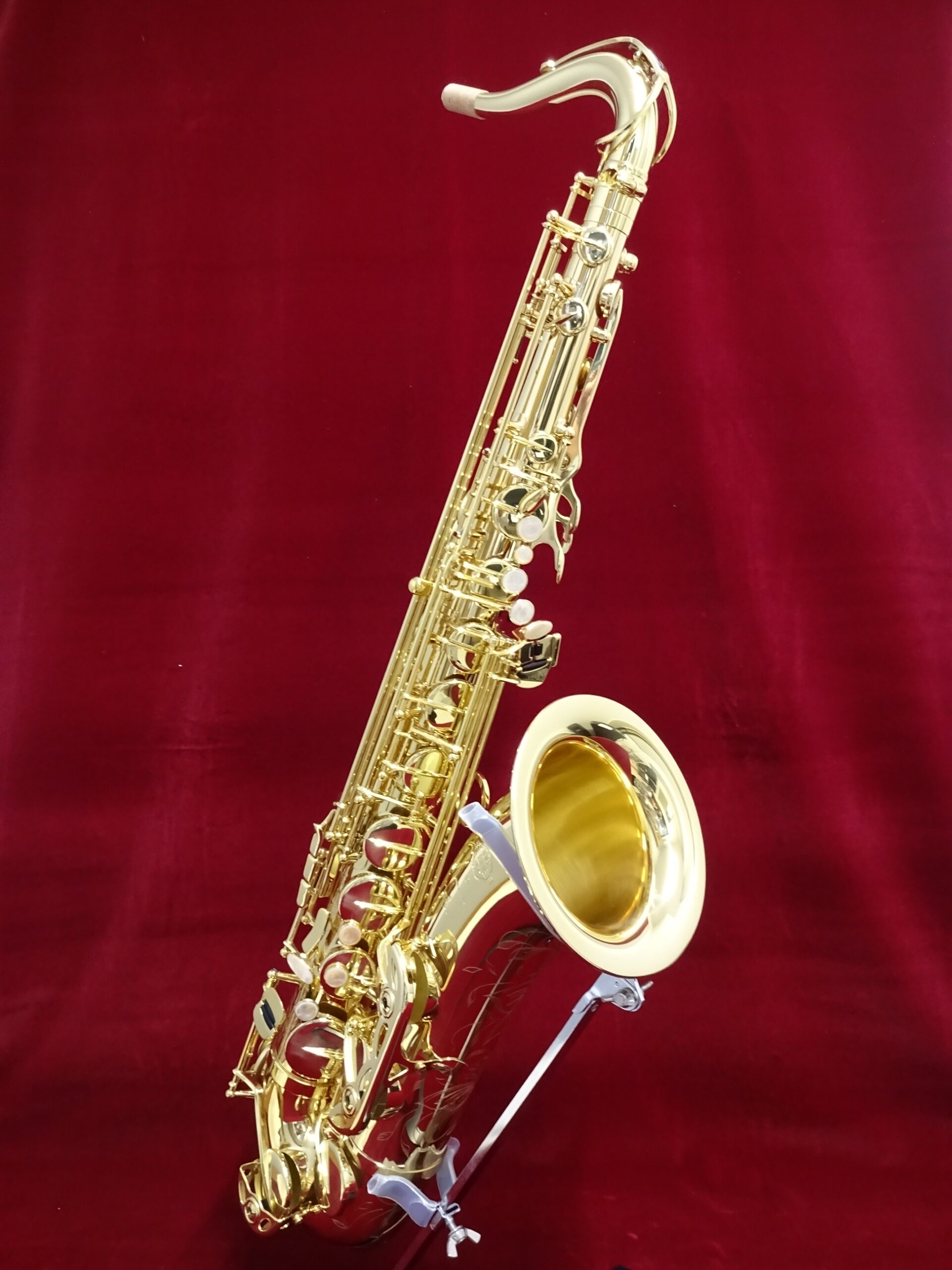 写真:SELMER AXOS