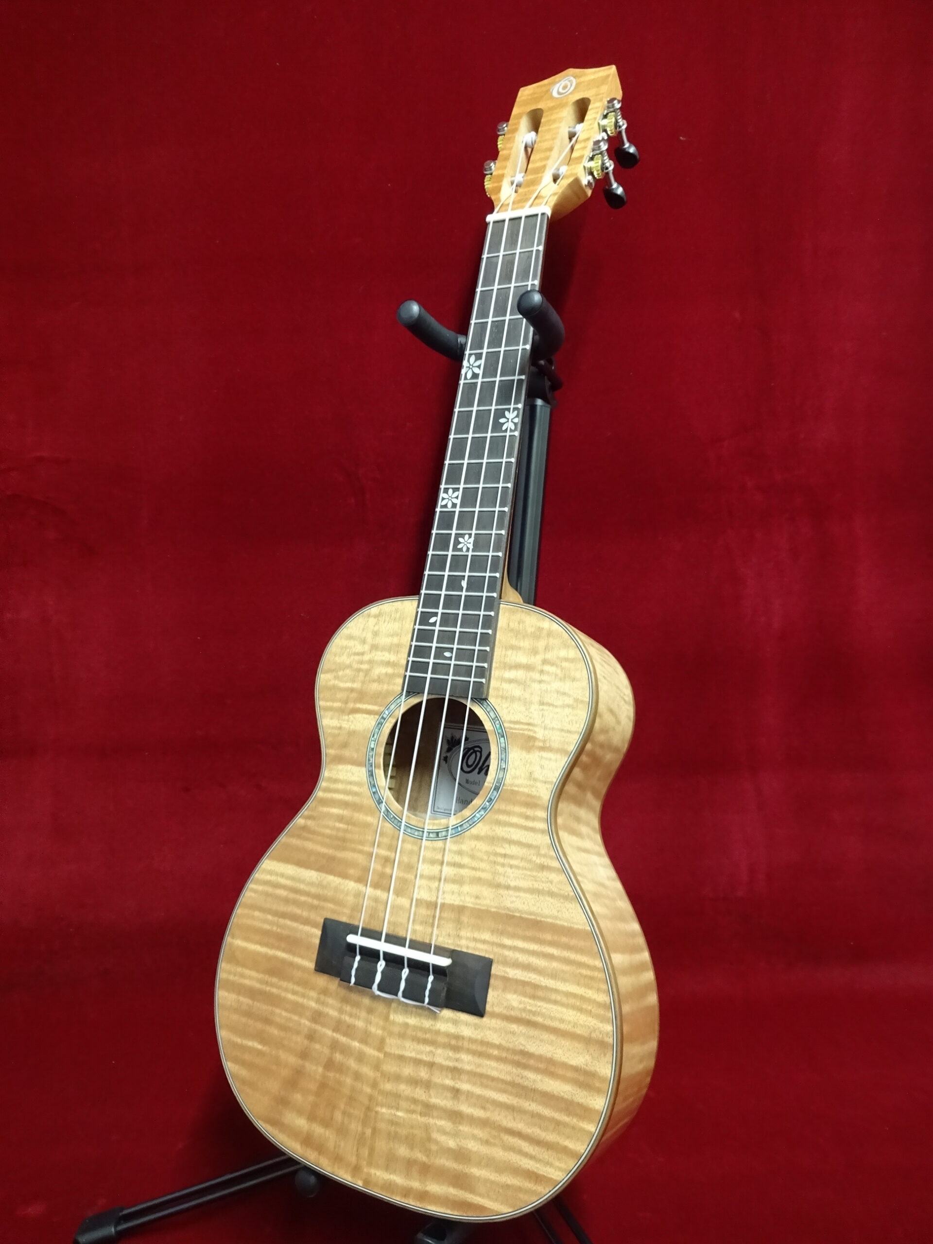 写真：Ohana　CK-18OM