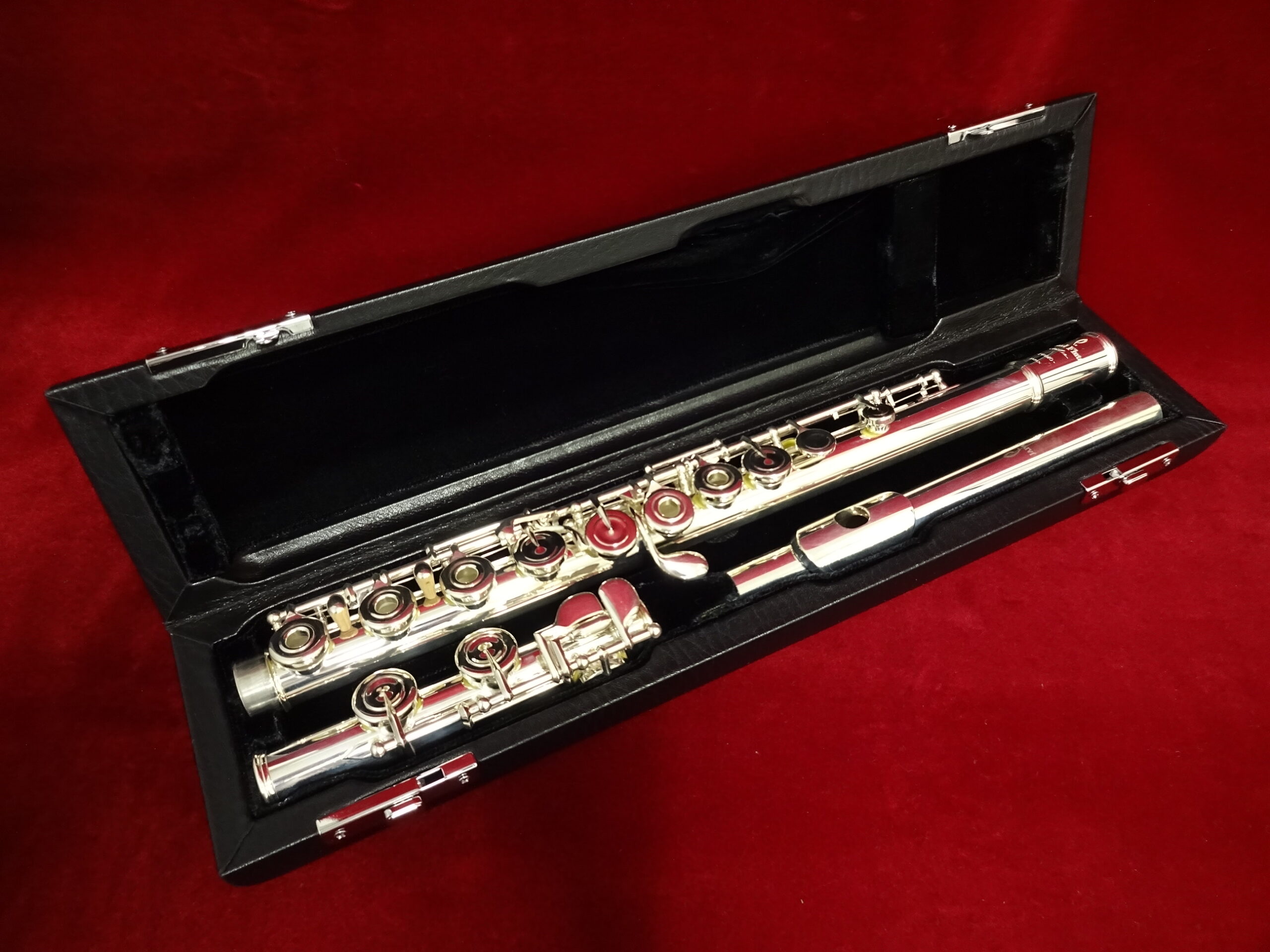 写真：PEARL　F-DP/RE